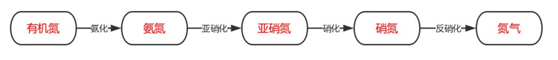 总氮去除剂|总氮去除体例